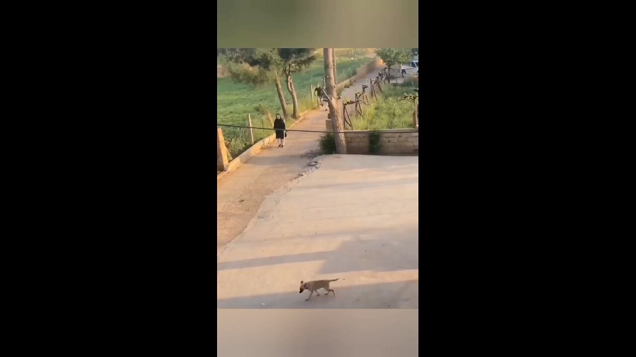 Running from a dog 😂😂