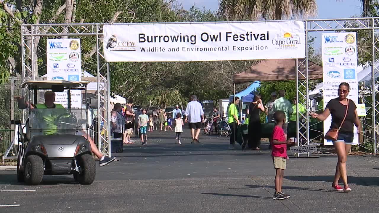 Burrowing Owl Festival