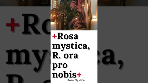 Mystical rose, pray for us #shorts