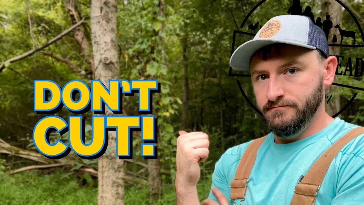 STOP Cutting Down Trees (Do This Instead) // TSI 1 Year Later