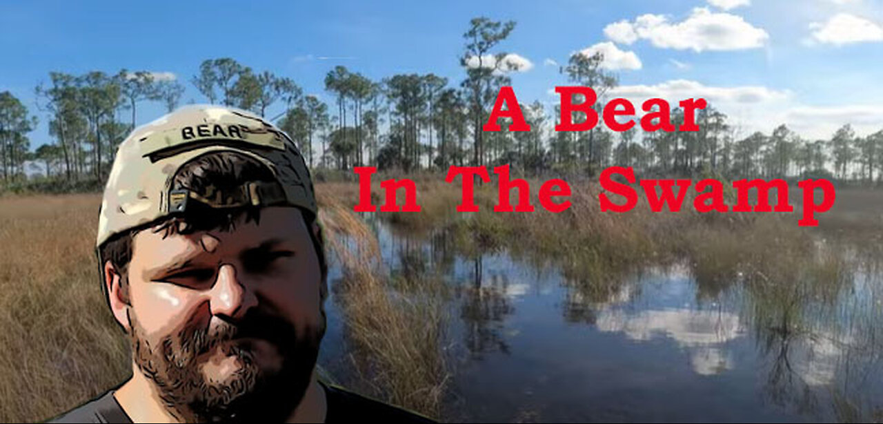 A Bear in the Swamp