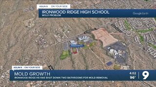 Ironwood Ridge HS shuts down two bathrooms for mold removal