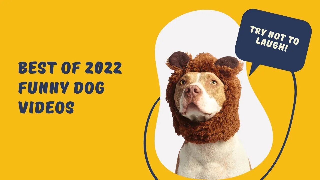 🤣 Funniest 🐶 Dogs - Hilarious Pet Animals Videos Compilation 2022 😇