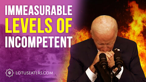 The Failing Biden Regime