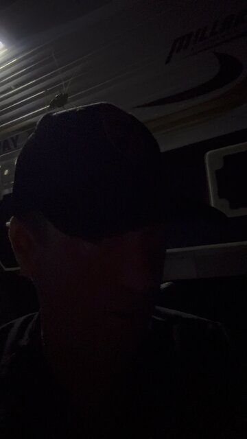 The Wild Australian Bush In Wedderburn