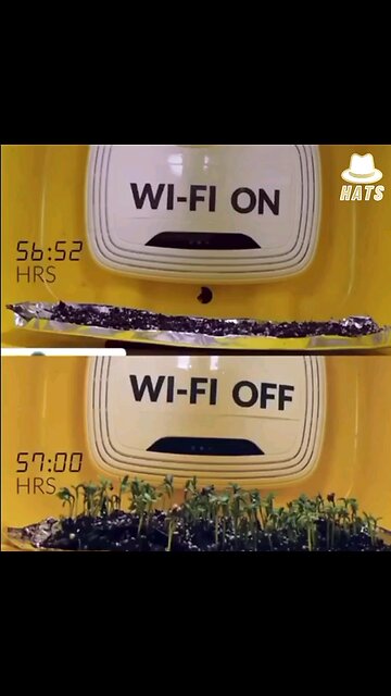 WIFI radio waves and how they affect living organisms such as seeds and plants