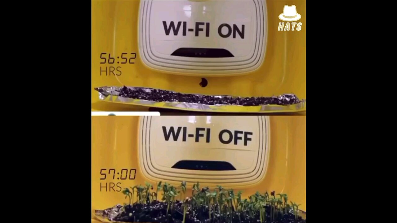 WIFI radio waves and how they affect living organisms such as seeds and plants