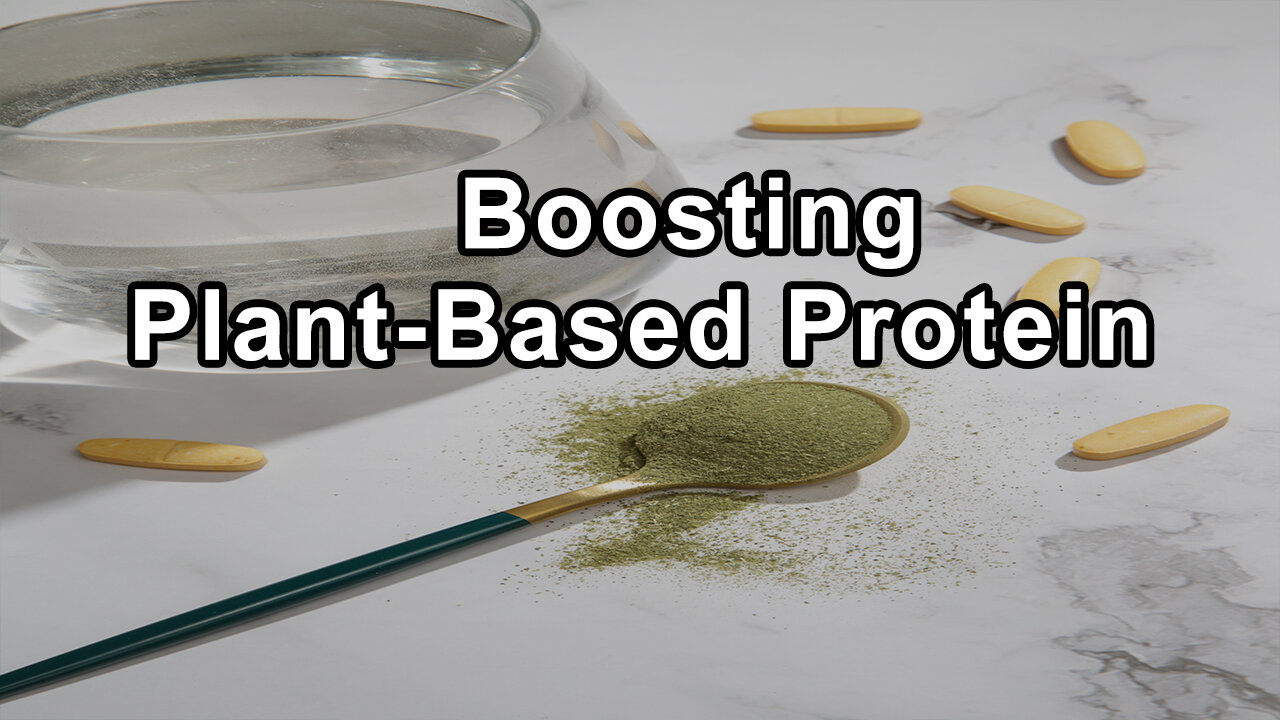 Boosting Plant-Based Protein Intake: Innovative Recipes and Tips - Brenda Davis, R.D.