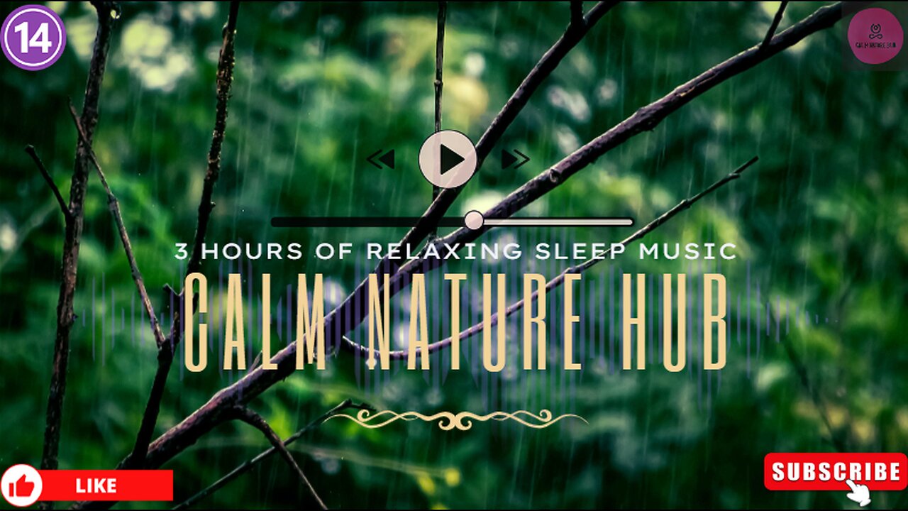 3 Hours of Rain, River, and Thunder Sounds for Deep Sleep, Study, Meditation, and Relaxation | #14