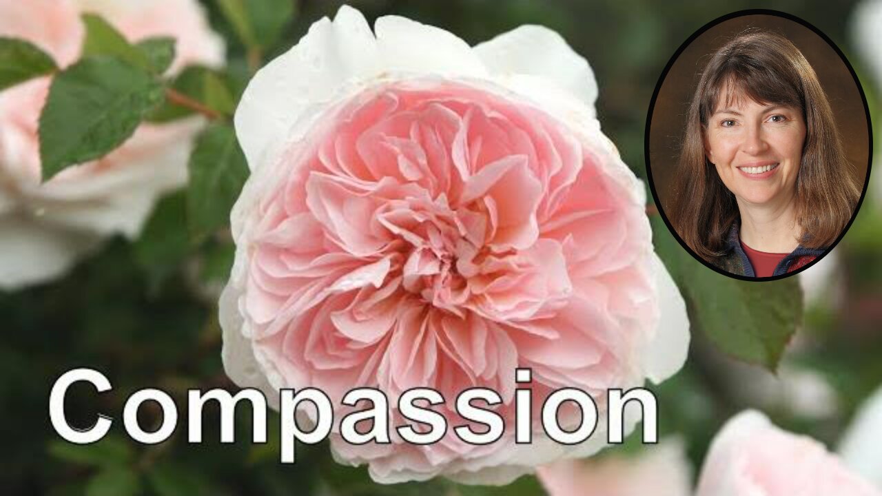 Self Compassion Guided Meditation for Relaxation