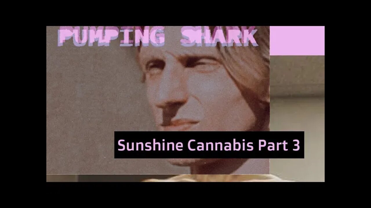 PUMPING SHARK - Sunshine Cannabis Part 3 ( Instrumental )