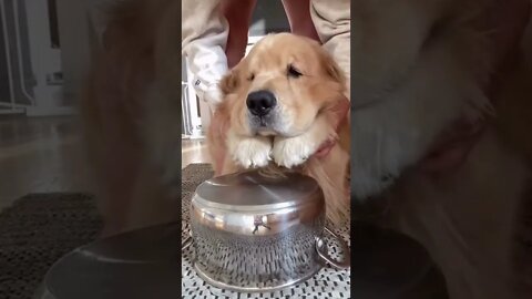 FREE event Please Join World Peace Drumming Circle with Shaman....,#short