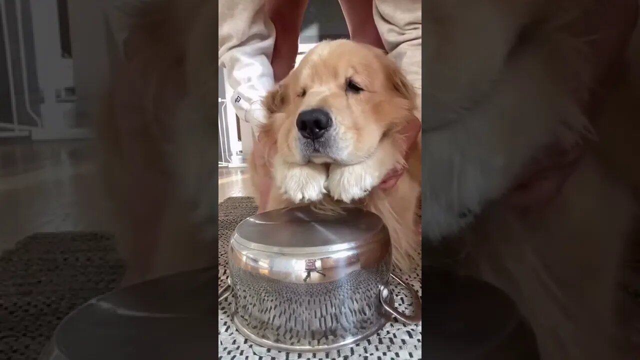 FREE event Please Join World Peace Drumming Circle with Shaman....,#short