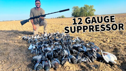 Insane Pigeon Hunt Warm Up for Dove Season 2023!! 82 Birds