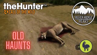 The Hunter: Call of the Wild, Old Haunts, Silver Ridge Peaks (PS5 4K)