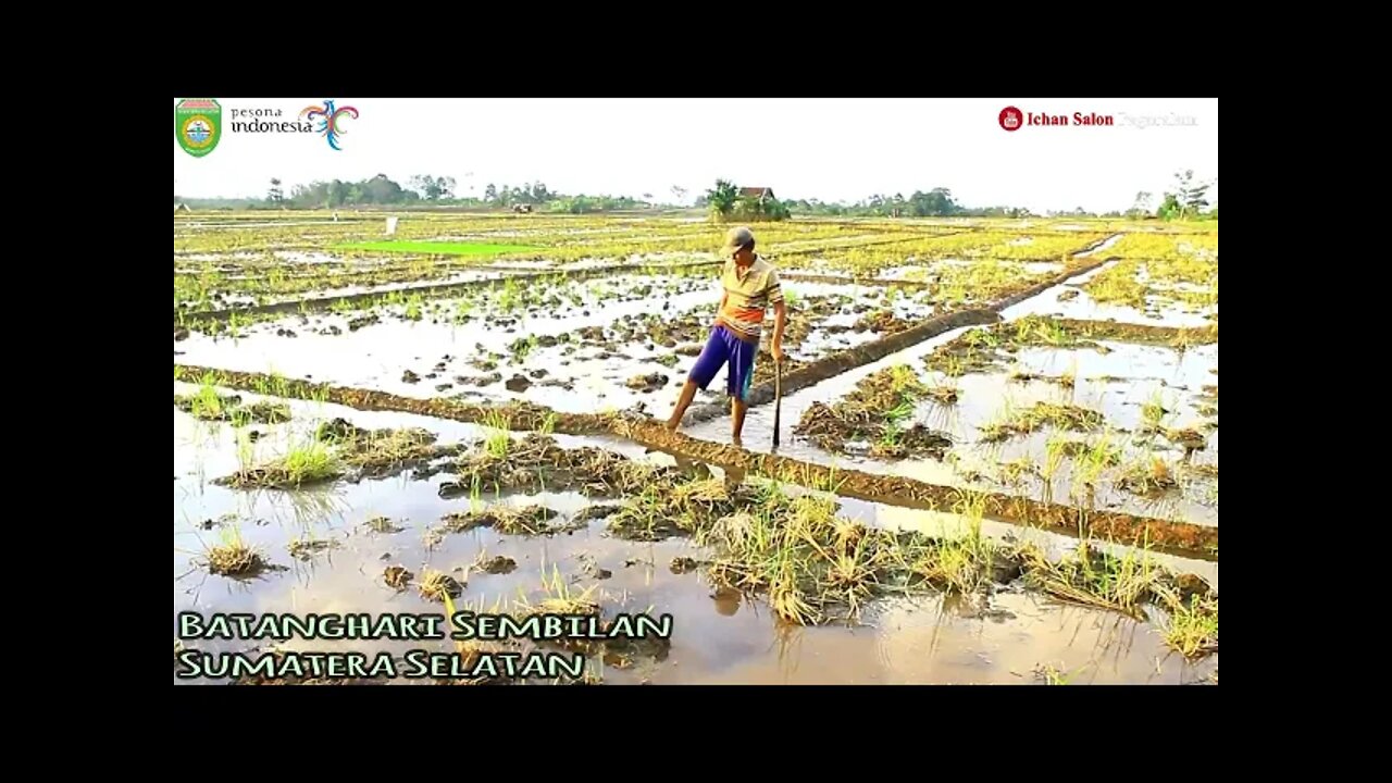 ISRAN AR & ELY SURYANI *MALANG NASIB* GITAR TUNGGAL 1978 BATANGHARI SEMBILAN SUMATERA SELATAN