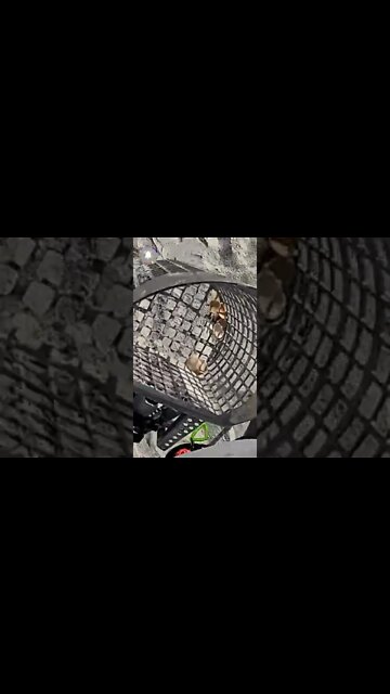 Metal Detecting Florida Beach Treasure