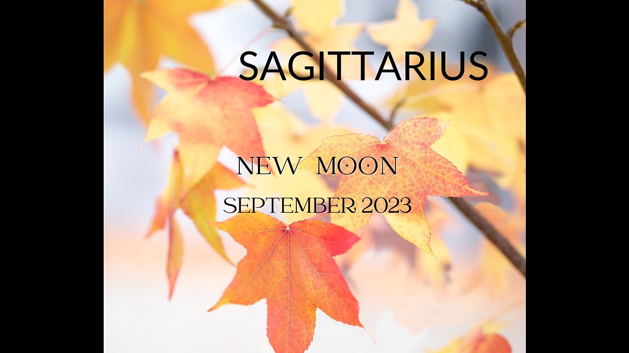 SAGITTARIUS- "WAKE UP CALL- NO MORE PLAYING IT SMALL" SEPTEMBER 2023