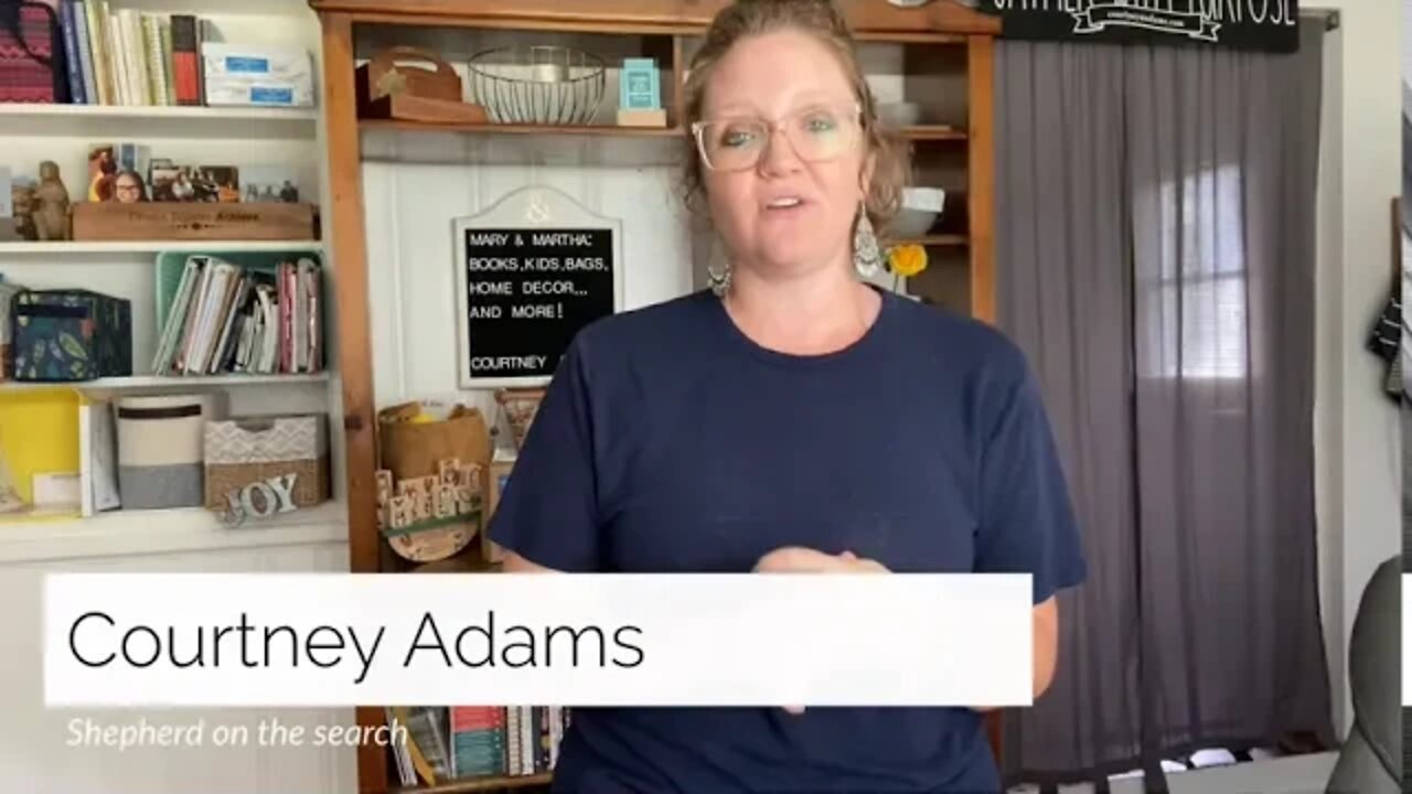 Shepherd on the search