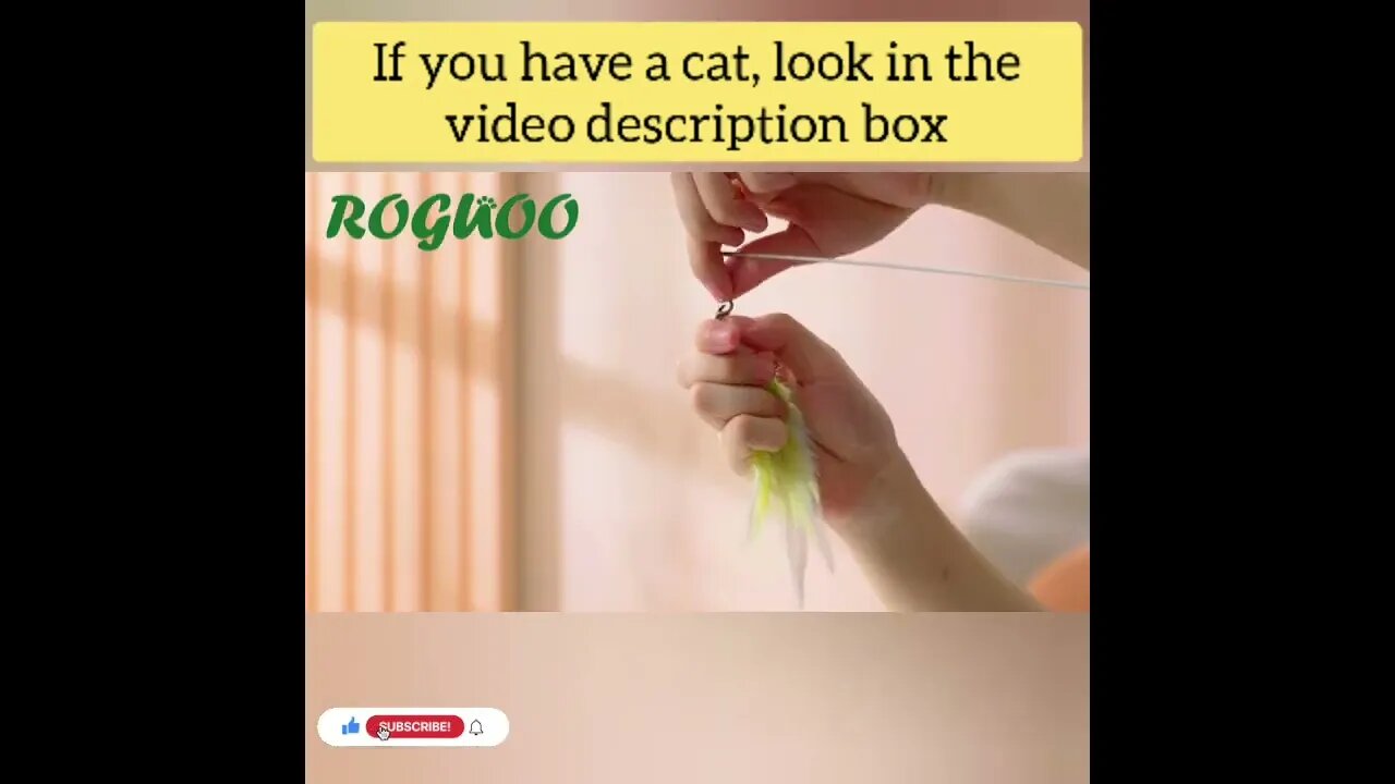 cute cat videos 😹 funny videos 😂146