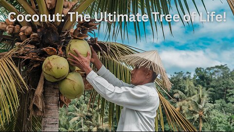 Coconut Trees: The Secret to a Perfectly Sustainable Life