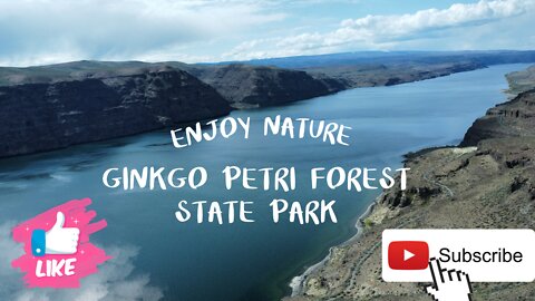 GINKGO PETRIFIED FOREST STATE PARK - DJI mini se - DJI Mavic Air 2