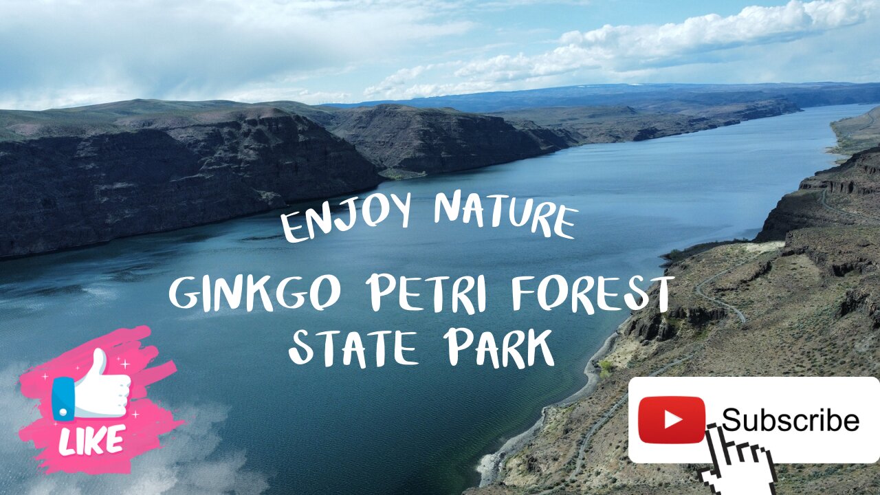 GINKGO PETRIFIED FOREST STATE PARK - DJI mini se - DJI Mavic Air 2