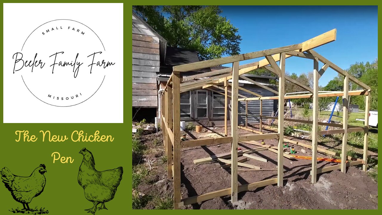 New Chicken Pen, Part 4