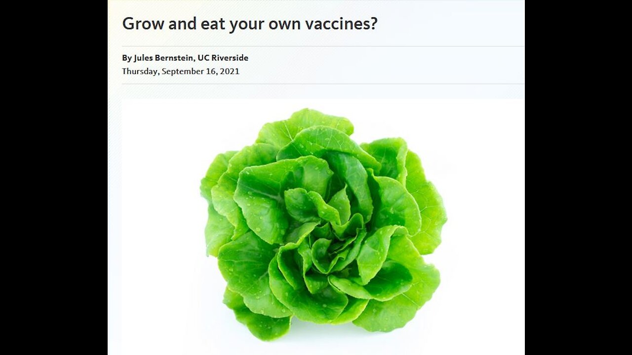 Grow your own "VACCINES SALADS"