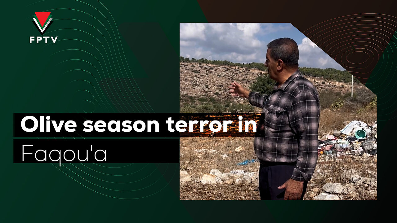 Olive season terror in Faqou'a