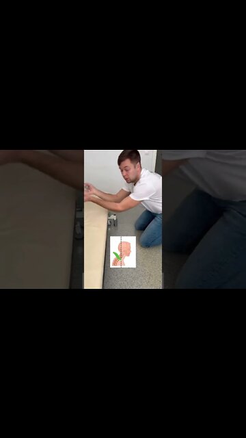 funny|prank|jokes|funny jokes|dad jokes|funny memes|funny video|fun|laughing|funny animal|knock