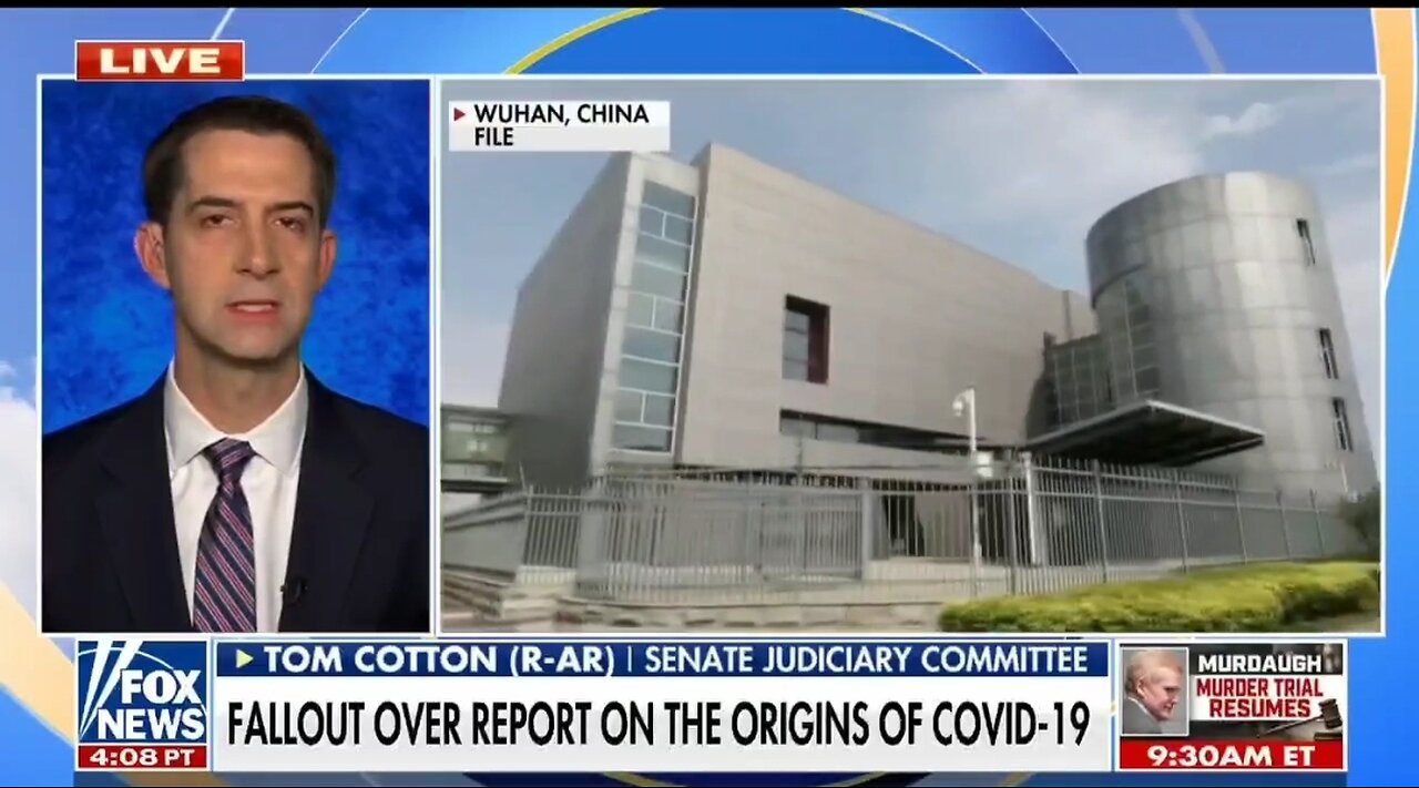 Tom Cotton: Lib Media Act Like Lawyers For Chinese Communists