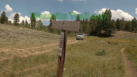 Gunnison National Forest - Waunita Trail #497