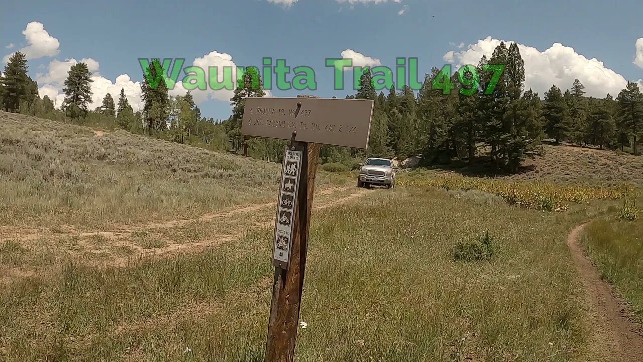 Gunnison National Forest - Waunita Trail #497