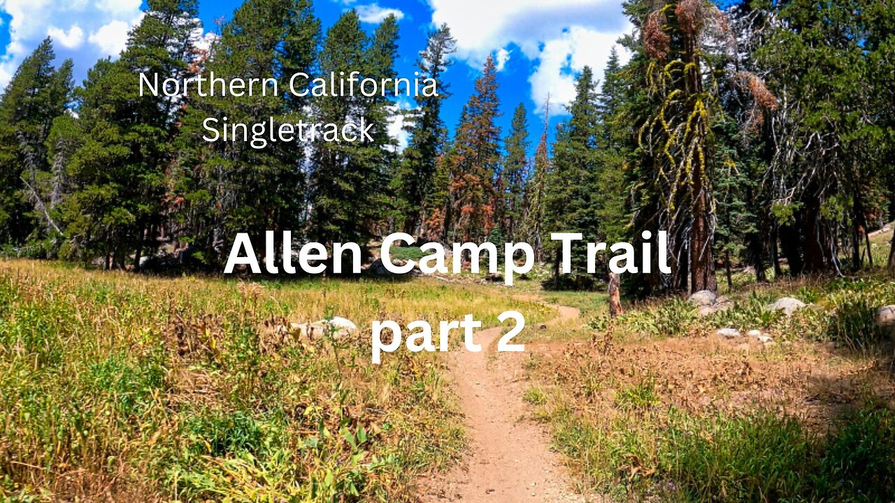 NorCal Singletrack, Allen Camp Trail