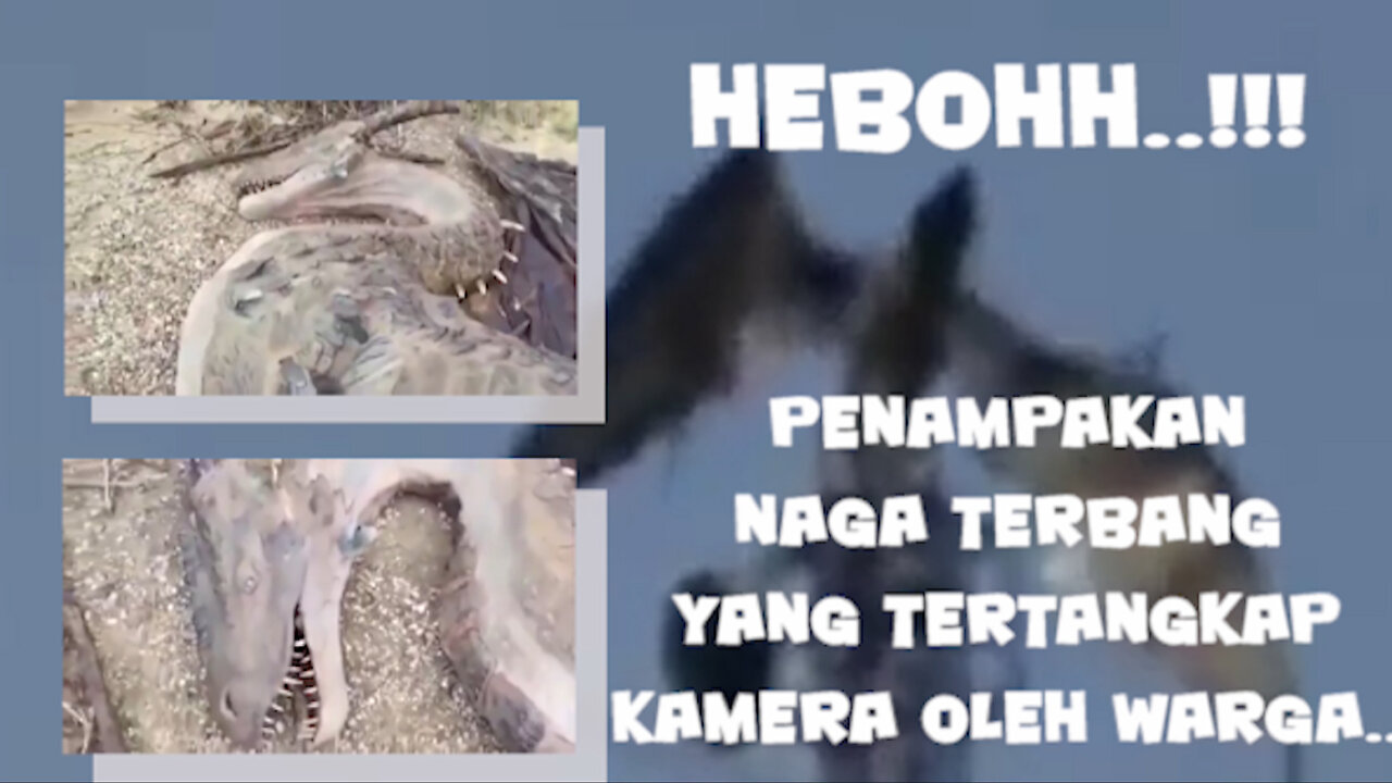 naga terbang yang tertangkap camera..!!fe