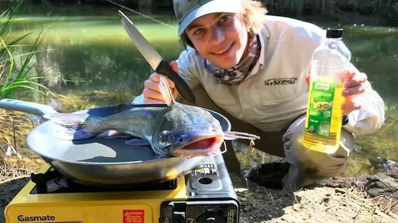 Monster Catfish - Catch n Cook! HD