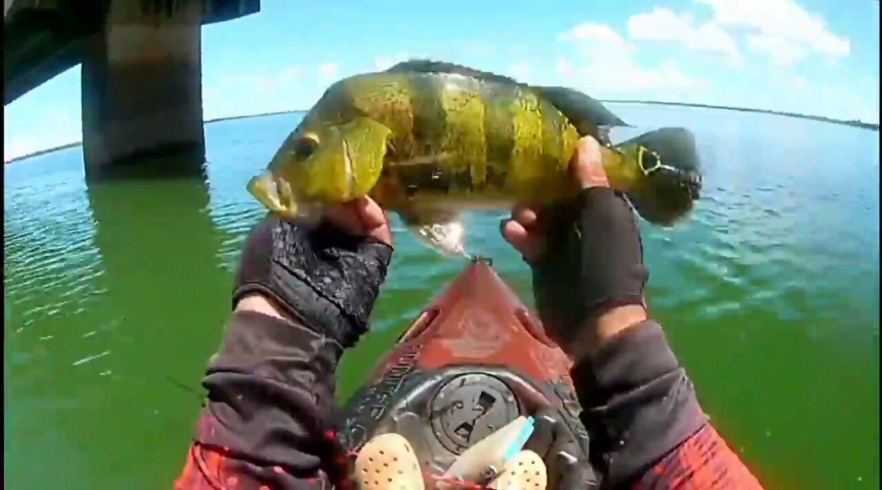 #8 Fishing Peacock Bass on the Bridge Pillar 4 - Kayak Fishing - Ultralight Fishing Style - Pesca de Tucunaré