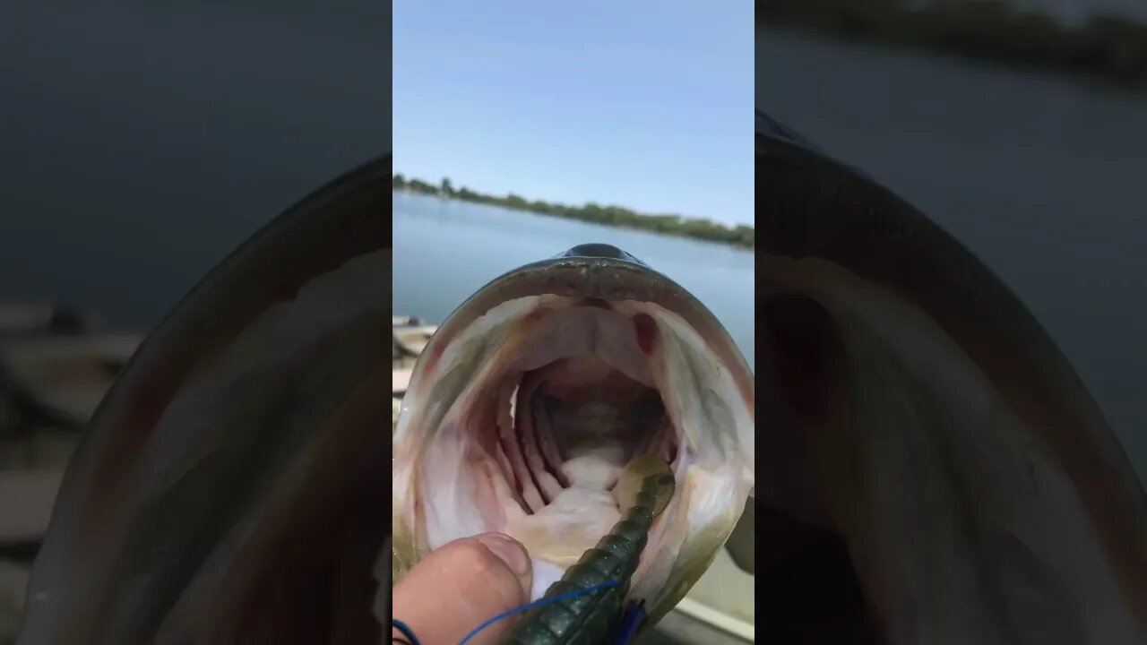 Open wide