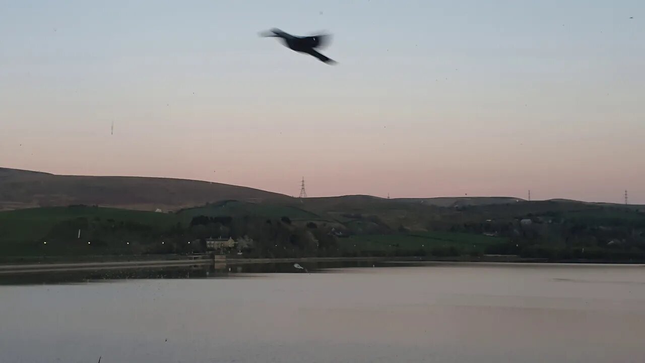 Dusk live meditation for relaxation tune only