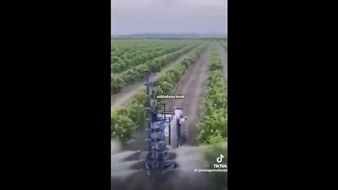LOOK WHAT’S HAPPENING TO OUR FOODS