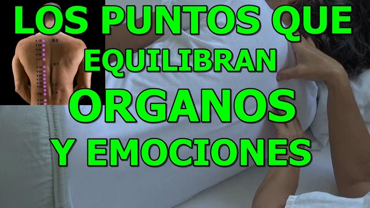 LOS PUNTOS SHU DE LA ESPALDA ACTÚAN DIRECTAMENTE EN LOS ÓRGANOS INTERNOS Y EN LAS EMOCIONES