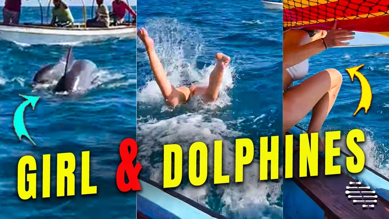 Girl Jumps in Water to Swim with Dolphines