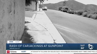 Spring Valley carjacking victim's fear: 'Please don't shoot me in the back'