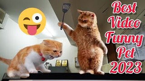 Best Funny Animal Videos of the year (2023), funniest animals ever. relax with cute animals video