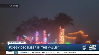 Dense fog across the Valley