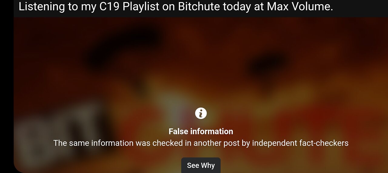 Facebook "Fact Checkers" Censors A Music Playlist Named C19