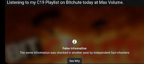 Facebook "Fact Checkers" Censors A Music Playlist Named C19