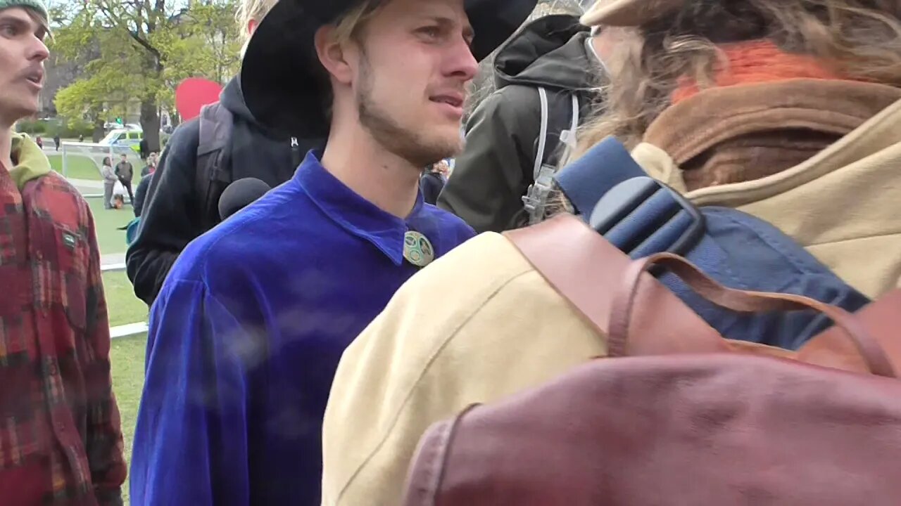 Dans och musik i Vasaparken