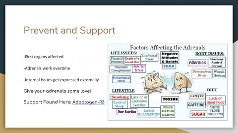 Adaptogen R3 - Ashley | Dr. Kevin Conners - Conners Clinic